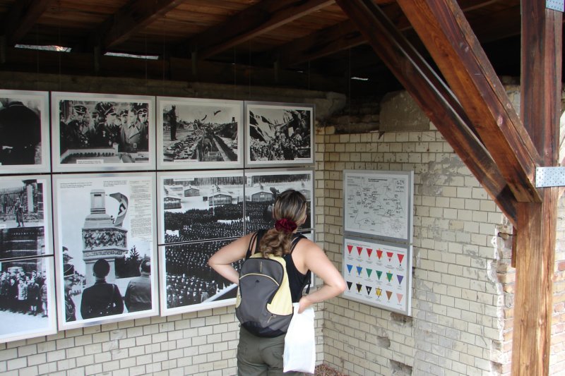 Photograph